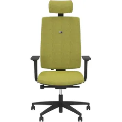 Viasit Linea Polsterrücken 46cm