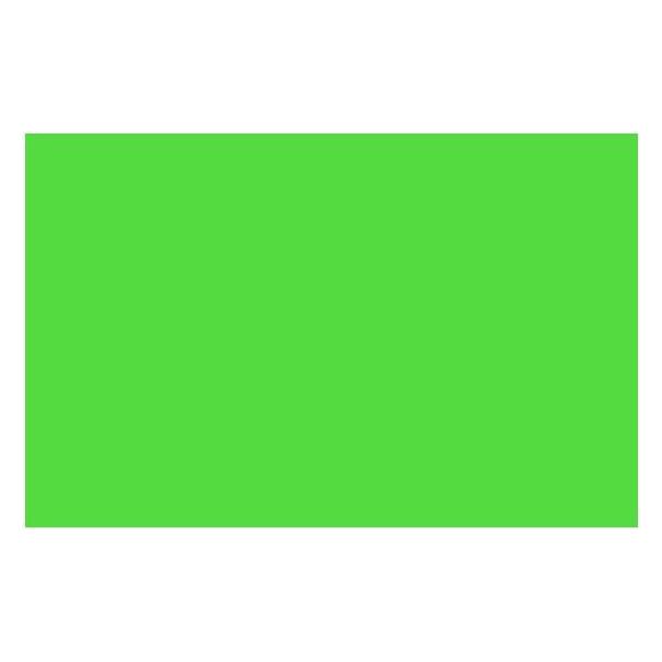 Winsor & Newton Ac Spray 400Ml Fluo Green 0985 (400 ml) (4450985)