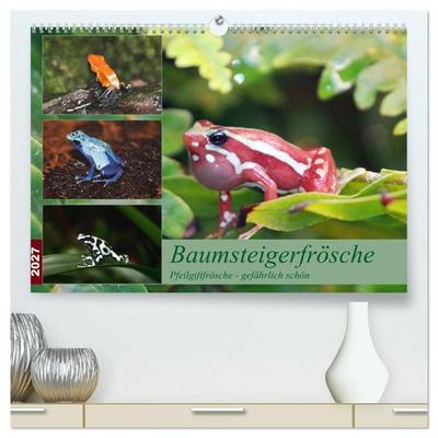 Baumsteigerfrösche. Pfeilgiftfrösche - gefährlich schön (hochwertiger Premium Wandkalender 2027 DIN A2 quer), Kunstdruck in Hochglanz