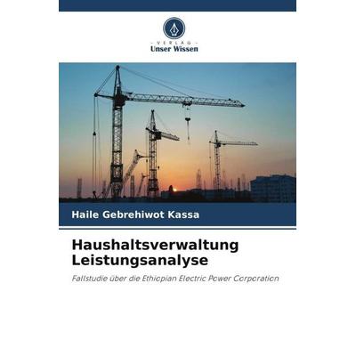 Haushaltsverwaltung Leistungsanalyse, Taschenbuch von Haile Gebrehiwot Kassa, Verlag Unser Wissen, 978-620-4-87598-9