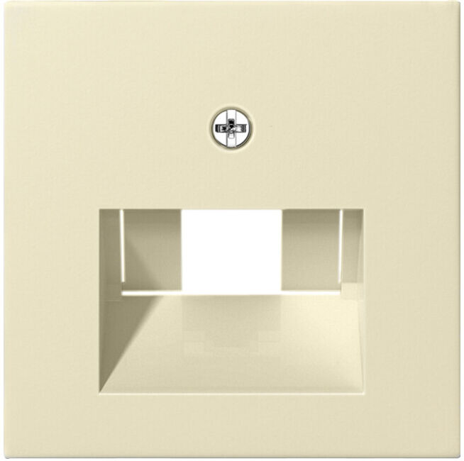 Gira Module central cws-gl pour raccordement UAE-IAE 027001 (027001)