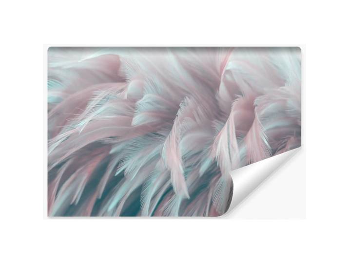 Muralo Fototapete Für Schlafzimmer Bunte Federn 3D 270x180cm, Blau, Rosa, Türkis, Papier, Abstrakt, Rechteckig, 270x180 cm, Tapeten & Wandverkleidungen, Fototapeten
