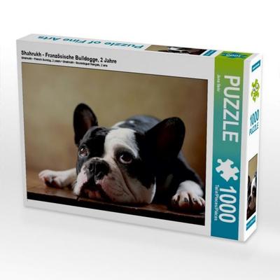 CALVENDO Puzzle Shahrukh - Französische Bulldogge, 2 Jahre | 1000 Teile Lege-Größe 64 × 48 cm Foto-Puzzle für glückliche Stunden