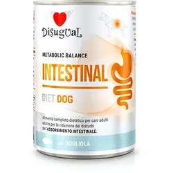 Disugual Karma Nassfutter für Hunde – Veterinär INTESTINAL Sola (für ausgewachsene Hunde) 400g