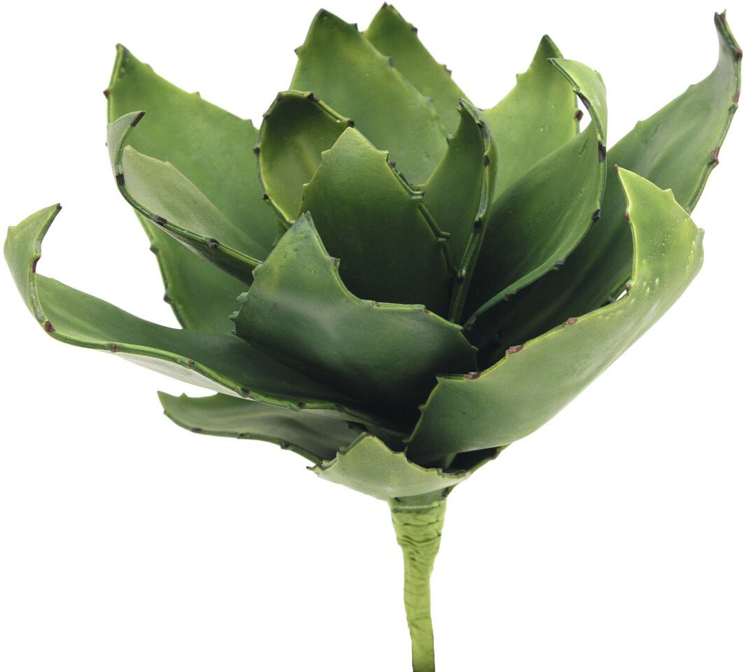 Europalms Agave (Eva), Grün, 45cm
