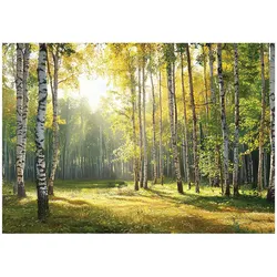 FOTOTAPETE 3D Effekt Wald Wohnzimmer 300x210