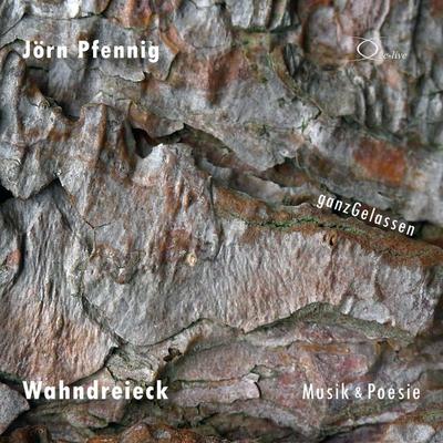 Wahndreieck - Jörn Pfennig, Audio, 9783956164309