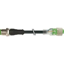 Murrelektronik M12 St. 0Grad / M12 Bu. 7000-40311-6340500