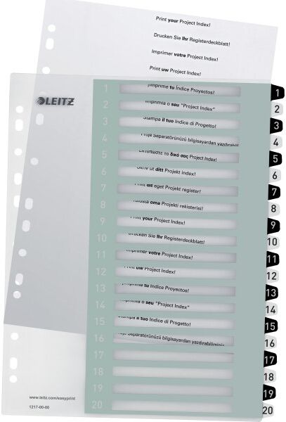 Leitz Wow Printbart Register   A4+   1-20