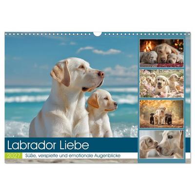 Labrador Liebe (Wandkalender 2027 DIN A3 quer), CALVENDO Monatskalender