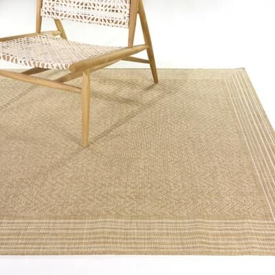 Balta Rugs Alois Chevron Border Indoor/Outdoor Area Rug