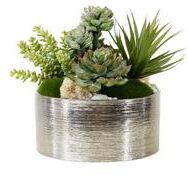 Jenny Silks Succulents Arrangement in Silver Etched Bowl