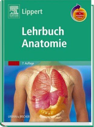 Herbert Lippert - Lehrbuch Anatomie - Preis vom 17.10.2026 19:25:27 h
