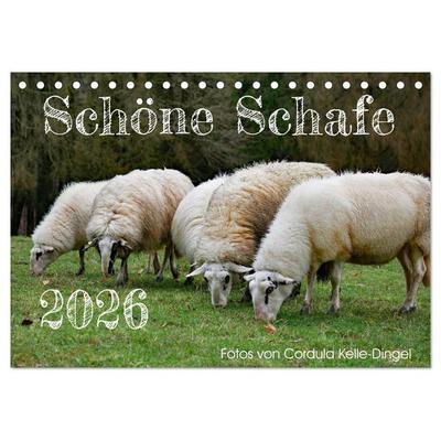 Schöne Schafe (Tischkalender 2026 DIN A5 quer), CALVENDO Monatskalender