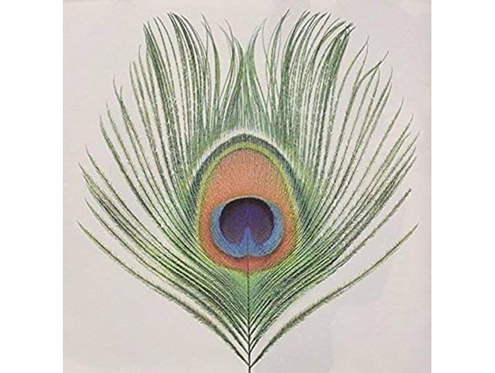 Apple Venus (Vol.1)