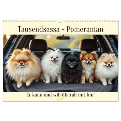 Tausendsassa - Pomeranian (Wandkalender 2027 DIN A3 quer), CALVENDO Monatskalender