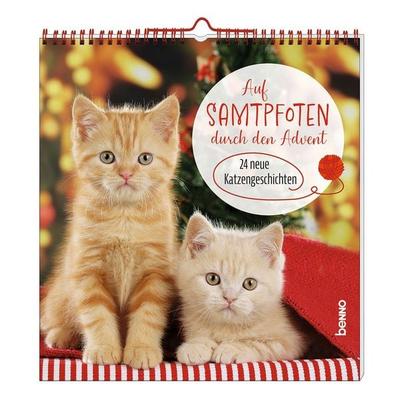 Auf Samtpfoten durch den Advent, Gebundene Ausgabe von Heike Wendler, St. Benno, 978-3-7462-7016-6