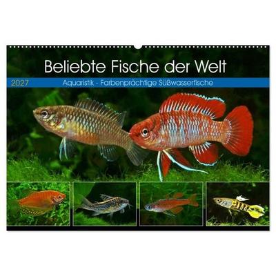 Beliebte Fische der Welt (Wandkalender 2027 DIN A2 quer), CALVENDO Monatskalender