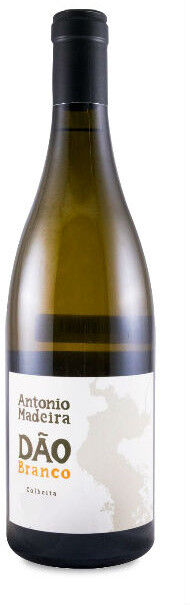 António Madeira Branco 2024