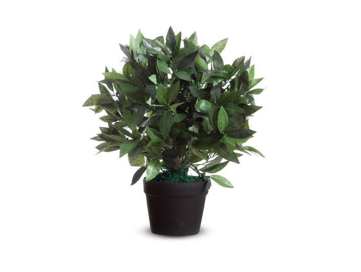 Paperflow Plante artificielle Laurier Ht. 50 cm
