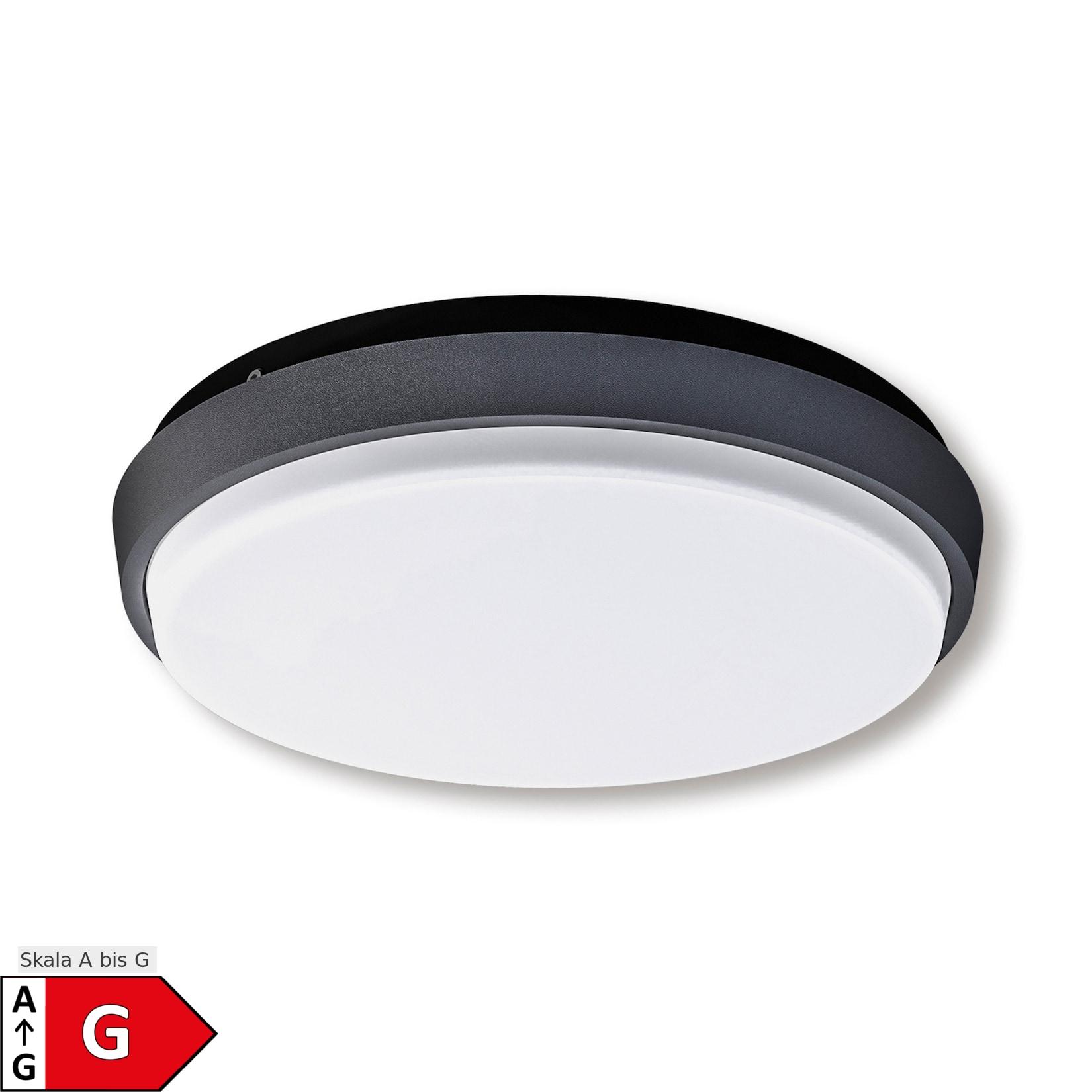 Näve LED Außendeckenleuchte IP54 "MIO" d:17,5cm