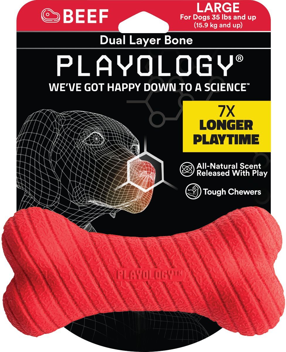 Playology Cane Gioco Osso Aroma Manzo L