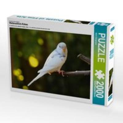CALVENDO Puzzle Ein Motiv aus dem Kalender Wellensittich-Küken | 2000 Teile Lege-Größe 90 × 67 cm Foto-Puzzle für glückliche Stunden