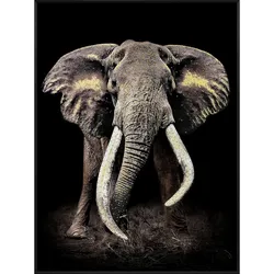 La Casa »Elephant« Wandbild 90x120 cm Rahmen schwarz