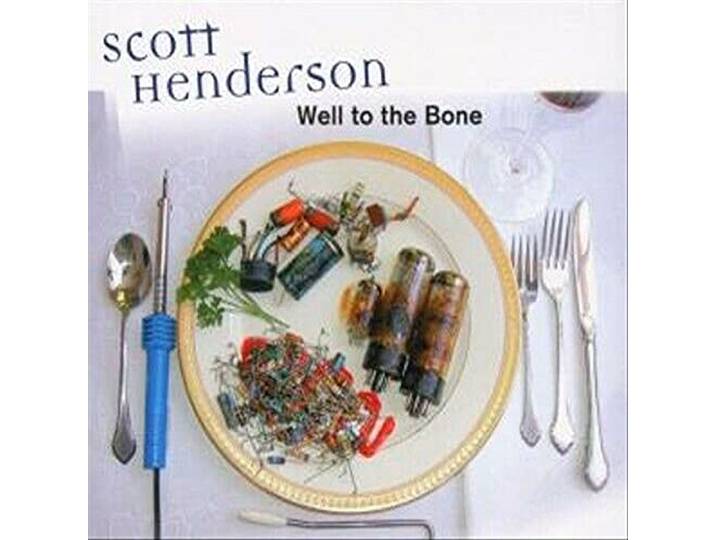 Scott Henderson - Well To The Bone