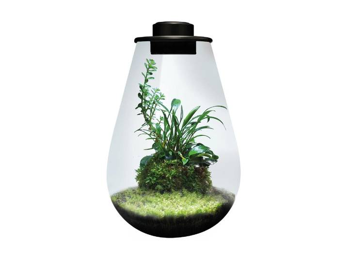 LED Dekoobjekt Bio Art Pflanzengefäss Drop 285 mit LED-Leuchtmittel , grün (schwarz), 1 Stk., Leuchten, LED Dekoobjekt