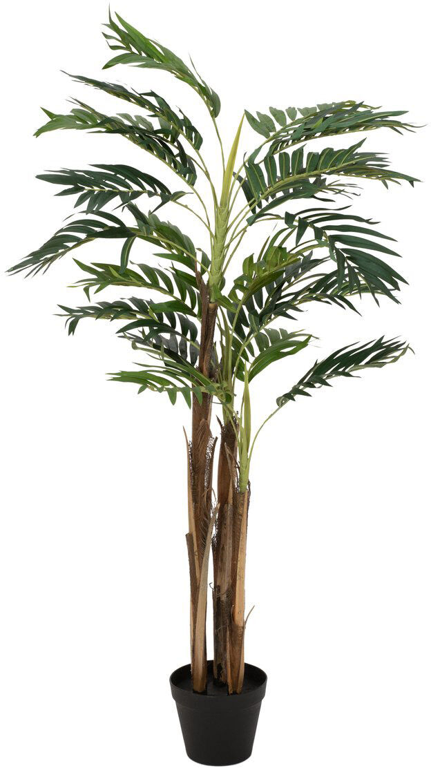 Europalms Areca Palme, 110cm
