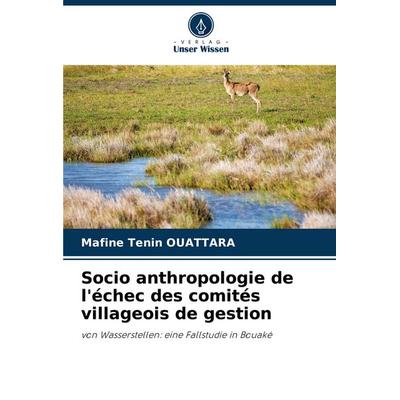 Socio anthropologie de l'échec des comités villageois de gestion, Taschenbuch von Mafine Tenin OUATTARA, Verlag Unser Wissen, 978-620-7-00374-7