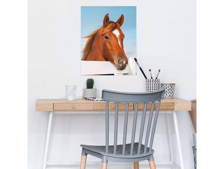 Poster Horse Portrait Papier Braun 40 x 50 x 0cm