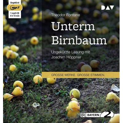 Unterm Birnbaum - Theodor Fontane, Audio, 9783862316168