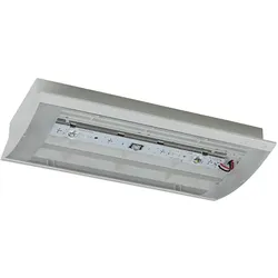 Ceag, Sicherheitskennzeichnung, Notl, LED-Sicherheitsleuchte StyleII22011LEDSLCGS
