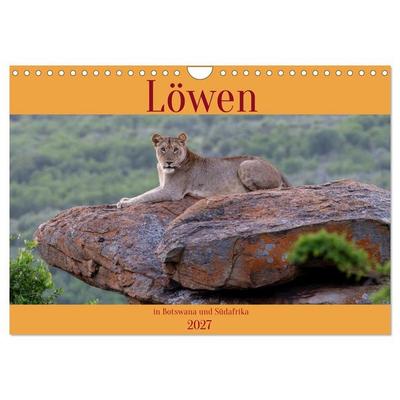 Löwen in Botswana und Südafrika (Wandkalender 2027 DIN A4 quer), CALVENDO Monatskalender