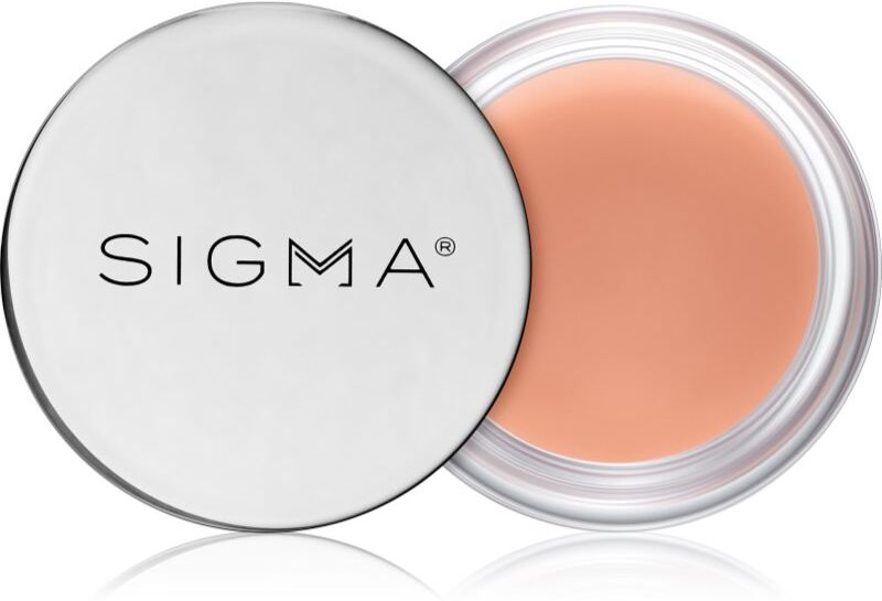 Sigma Beauty Hydro Melt Lip Mask hydrating lip mask with hyaluronic acid shade Hush 9.6 g