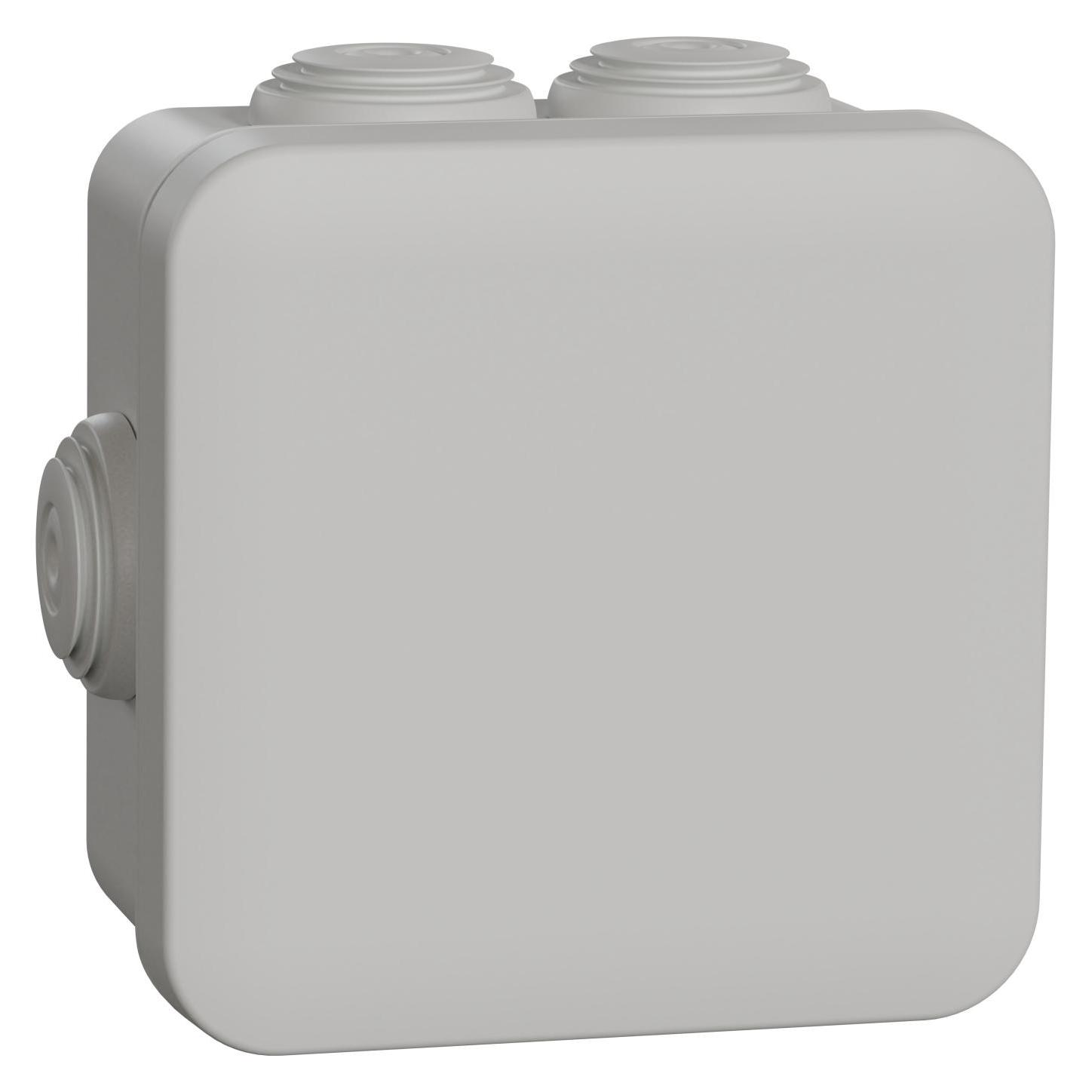 Schneider Electric Abzweigdose (ENN05004)