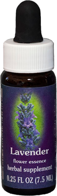 NATUR Srl LAVENDER ESS 7,5ML CALIFORNIA