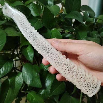 Inspired Living Venus Flower Basket Glass Sponge Decor Natural Euplectella Shell For Coastal Aquarium And Ocean Display Venus Flower Basket Glass Sponge Decor Natural Euplectella Shell For Coastal Aquarium And Ocean Display