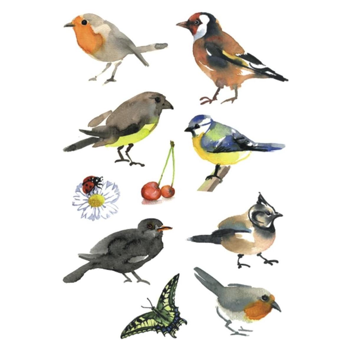 Herma Sticker Vögel (30 Sticker) (3351)