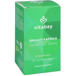 LIPOSOMALES Mumijo Shilajit 1000mg hochdos.Weichk.