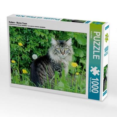 CALVENDO Puzzle Katzen - Maine Coon | 1000 Teile Lege-Größe 64x48cm Foto-Puzzle für glückliche Stunden