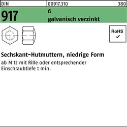 Sechskanthutmutter DIN 917 niedrige FormM10 SW 17 6 galv.verz. 100St.