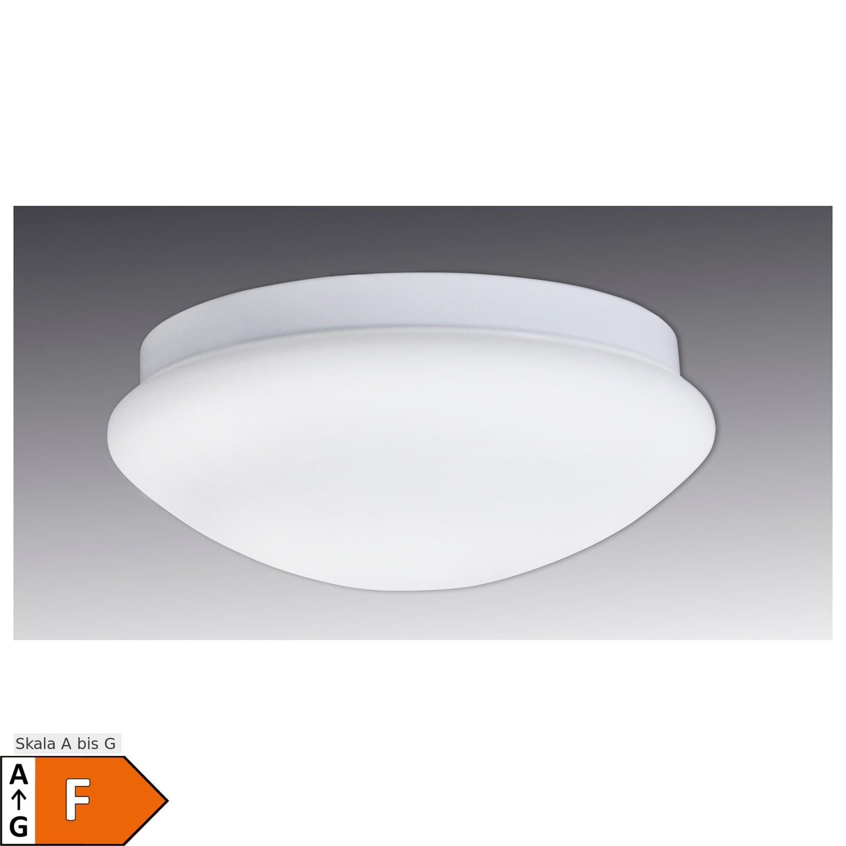 Näve LED Deckenleuchte "GENF"