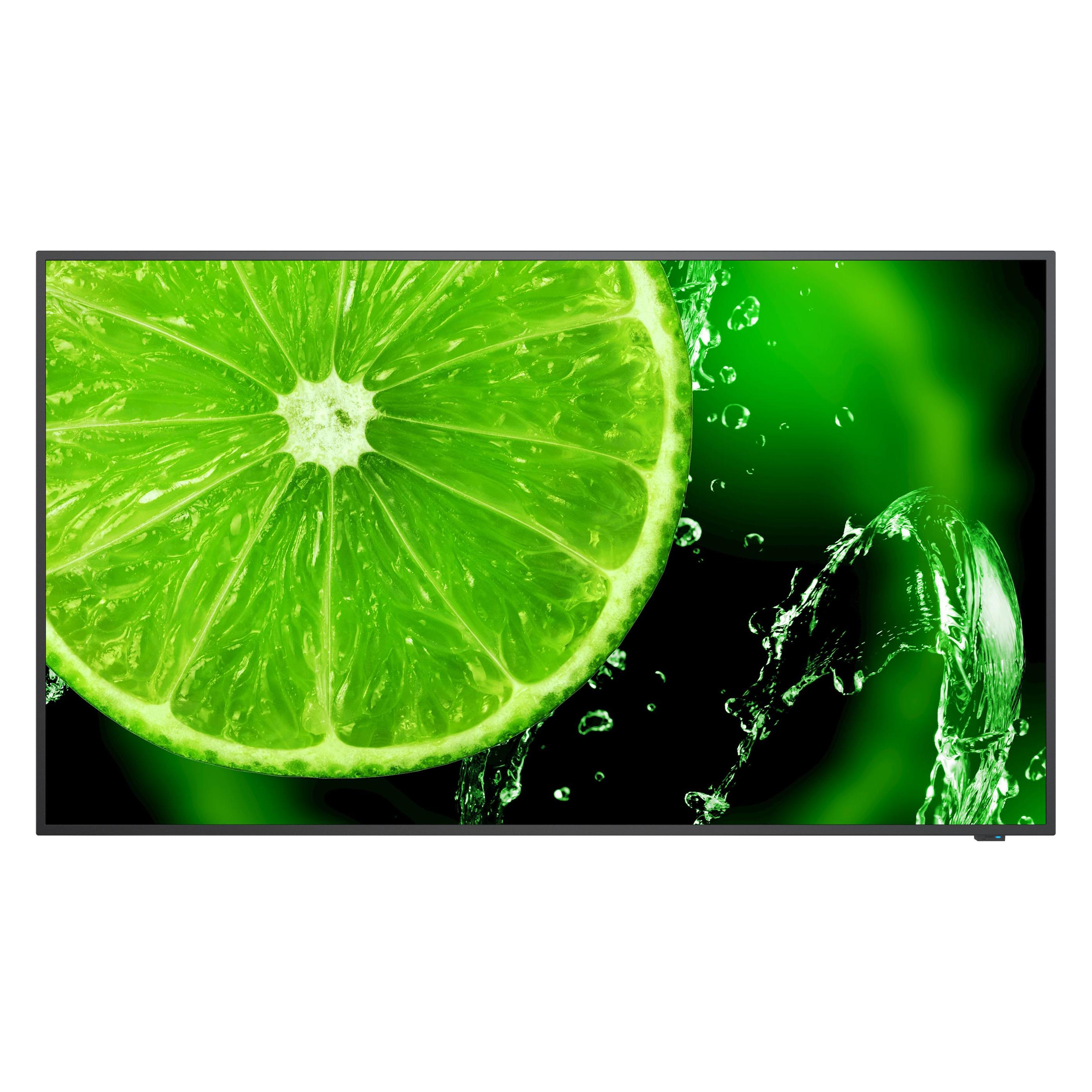 NEC MultiSync E658 (3840 x 2160 Pixel, 64.50") (60005059)