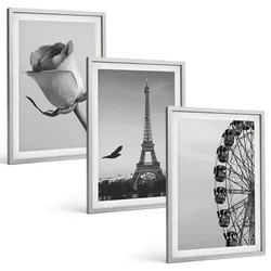 BILDER SET 3er Set - 40x60 cm Silberner Rahmen - Rose Eiffelturm Riesenrad