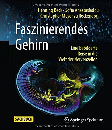 Henning Beck - Faszinierendes Gehirn: Eine bebilderte Reise in die Welt der Nervenzellen - Preis vom 09.10.2026 07:28:09 h