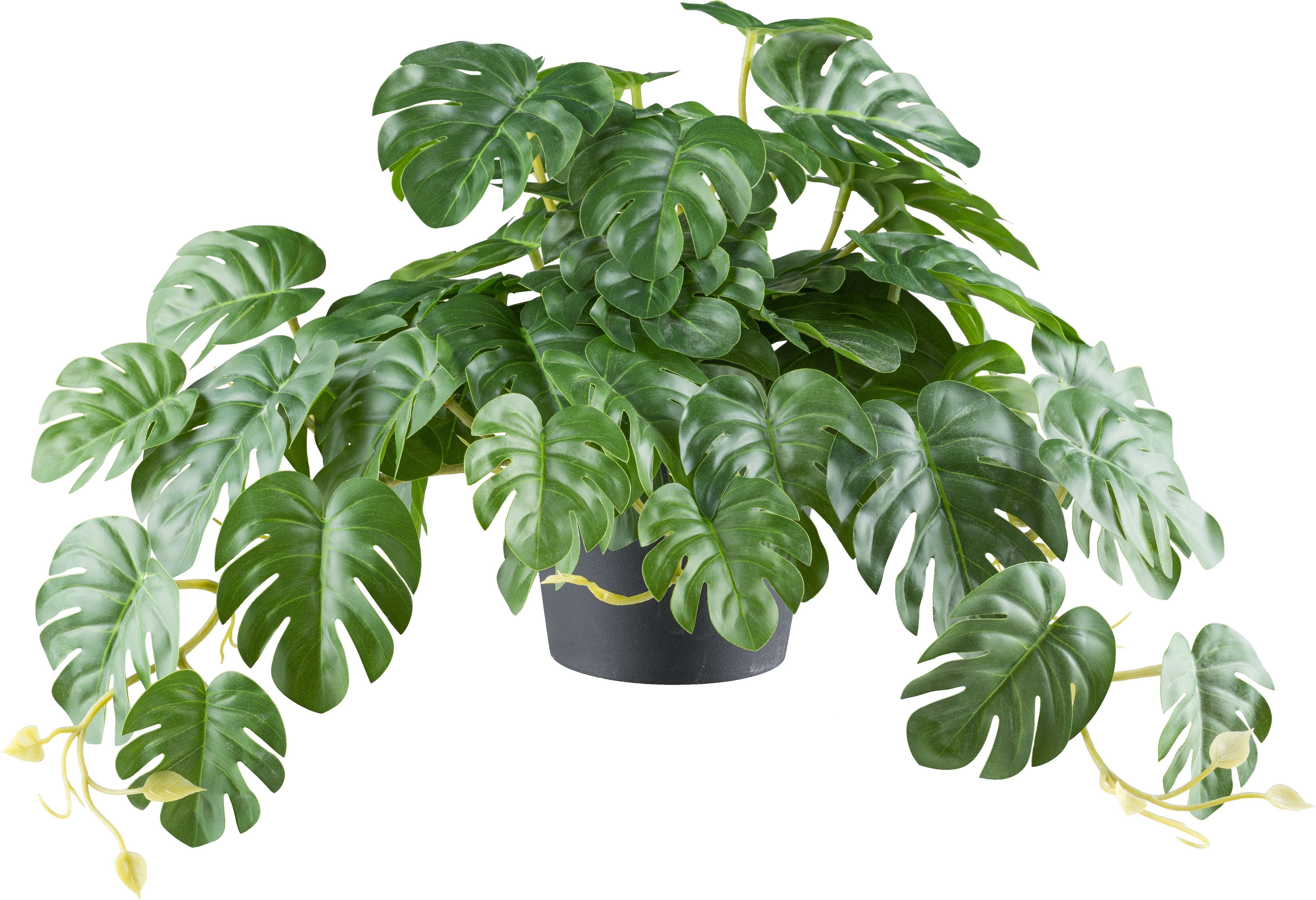 Kunstpflanze CREATIV GREEN "Splitphilodendron", grün, H:40cm Ø:24cm, Kunststoff, Kunstpflanzen, Kunstpflanze, mit naturgetreuem Blattwerk