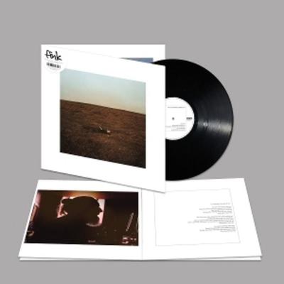 The City Coming To Erase It All - Fink, Vinyl